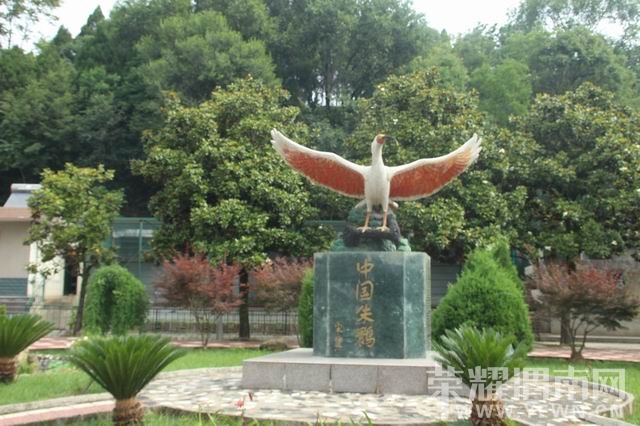 ������С IMG_2907.JPG