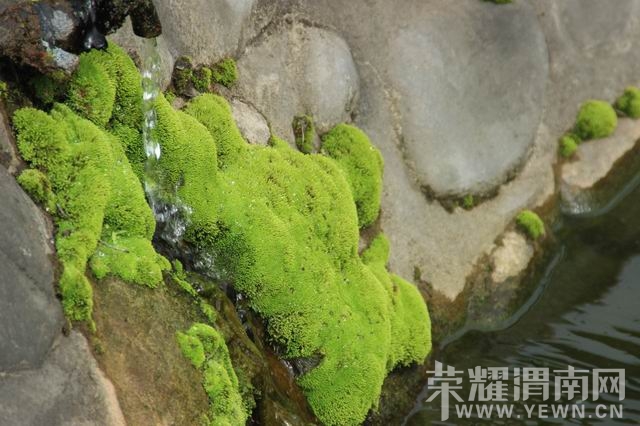 ������С IMG_2914.JPG