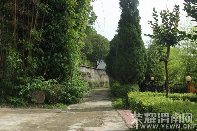 ������С IMG_2923.JPG