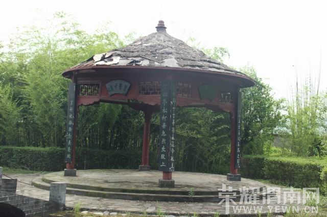 ������С IMG_2940.JPG