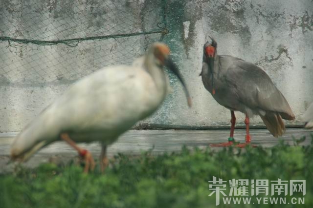 ������С IMG_2955.JPG