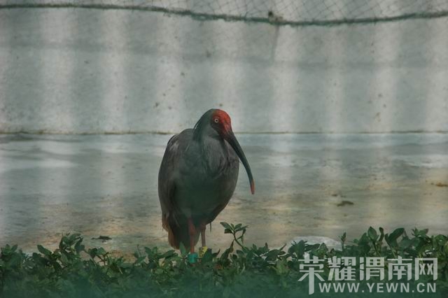 ������С IMG_2959.JPG