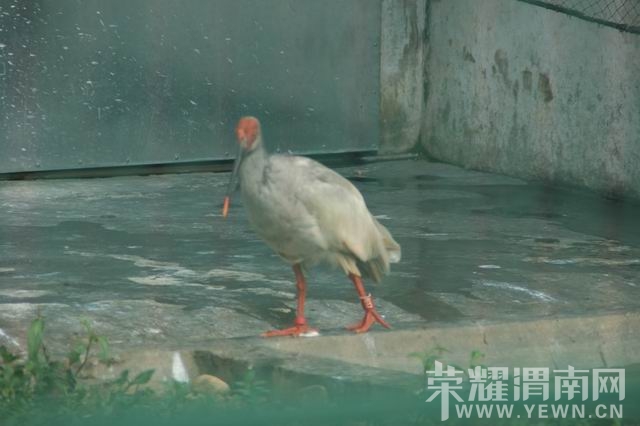 ������С IMG_2958.JPG