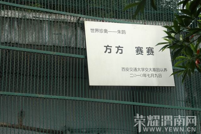 ������С IMG_2962.JPG