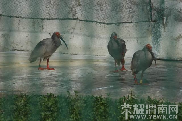 ������С IMG_2960.JPG