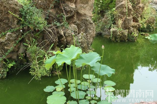 ������С IMG_2974.JPG