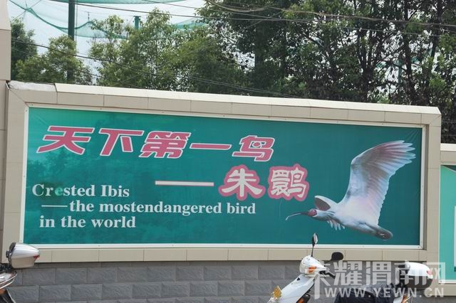 ������С IMG_2984.JPG