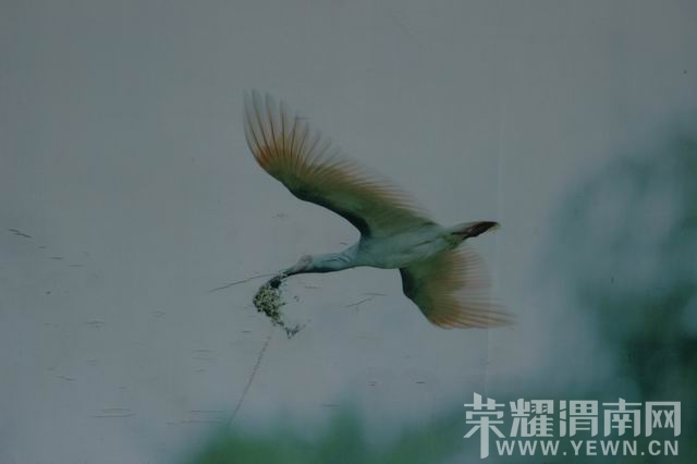 ������С IMG_2982.JPG