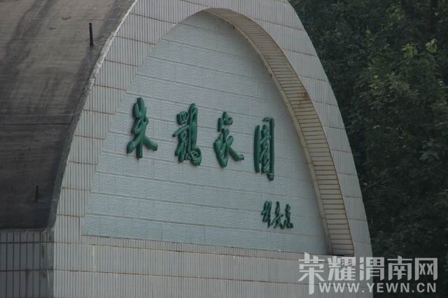 ������С IMG_2985.JPG