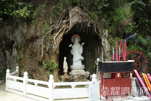 ������С IMG_3010.JPG