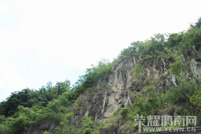 ������С IMG_3016.JPG