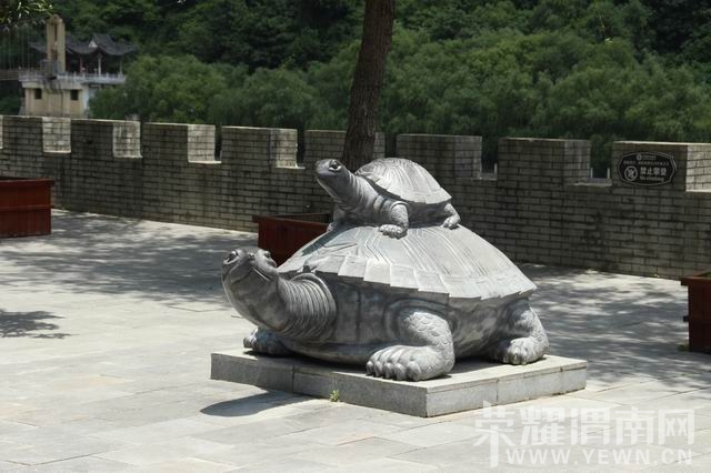 ������С IMG_3030.JPG