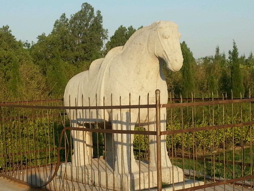 �ѳ�����