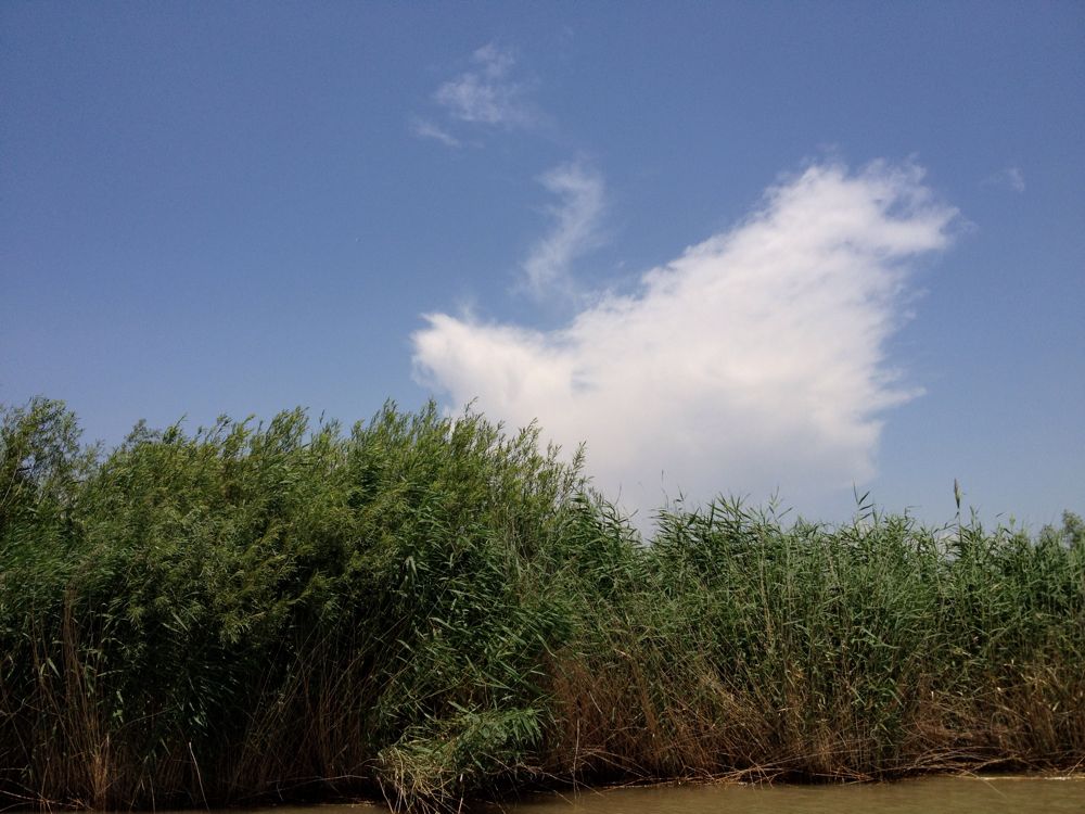 Ǣ���羰��