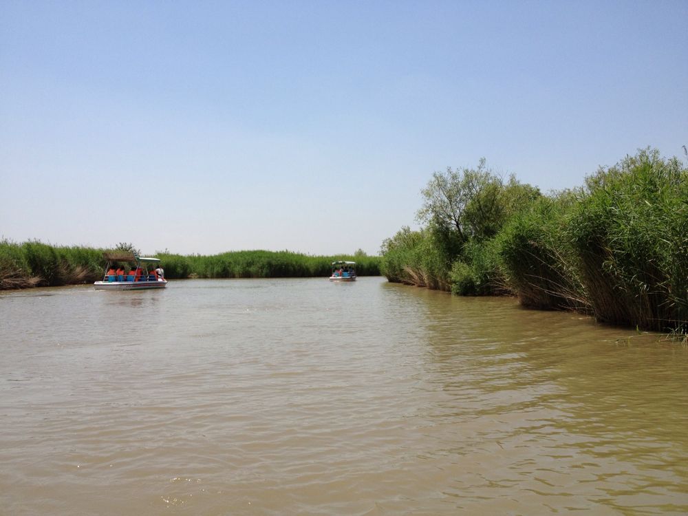 Ǣ���羰��