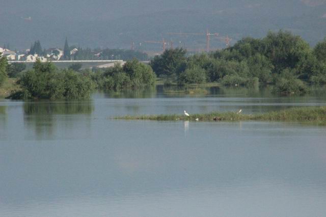 ������С IMG_3300.JPG