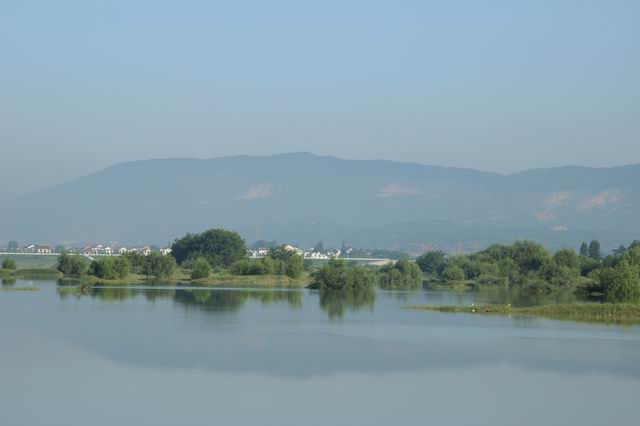 ������С IMG_3310.JPG