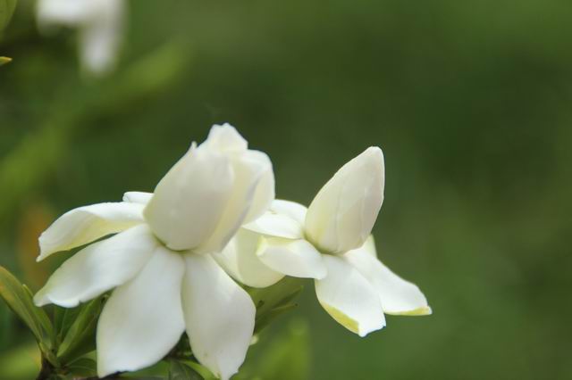 ������С IMG_2911.JPG