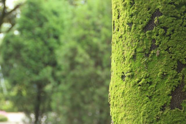 ������С IMG_2919.JPG