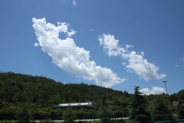 ������С IMG_3336.JPG