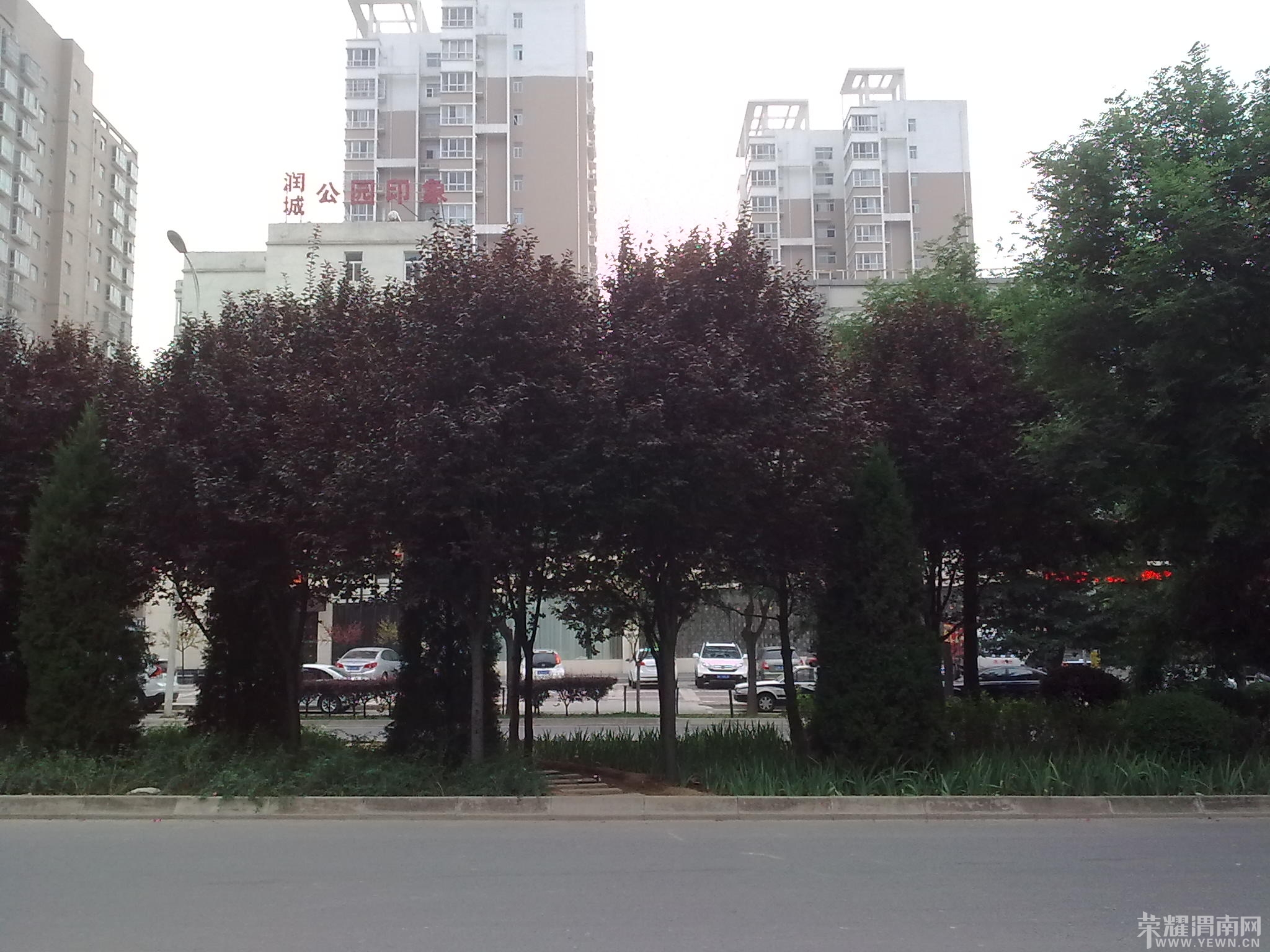 ͼ��2604.jpg