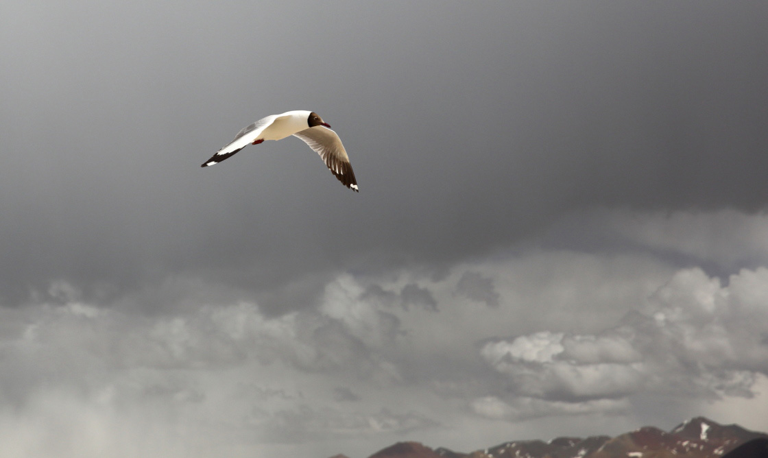 ����ʲô��