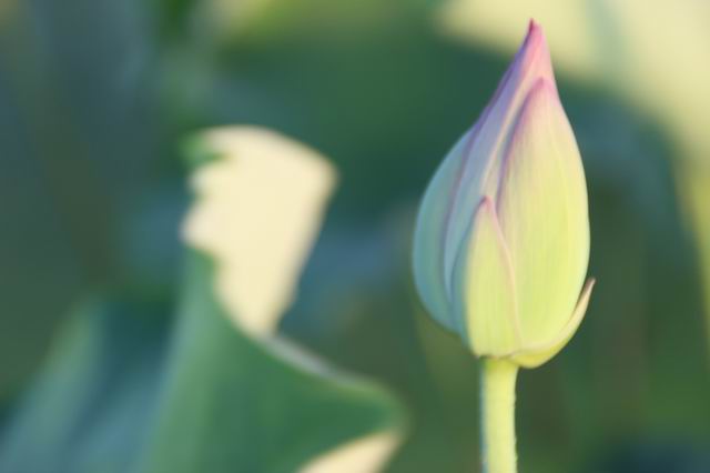 ������С IMG_3437.JPG