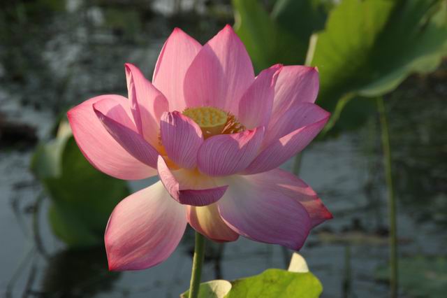 ������С IMG_3473.JPG