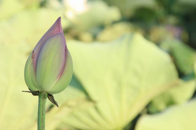 ������С IMG_3508.JPG