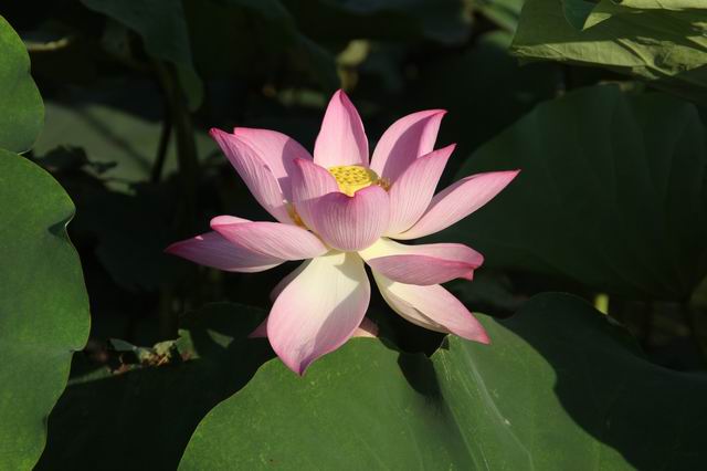 ������С IMG_3577.JPG