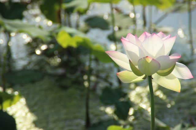 ������С IMG_3593.JPG