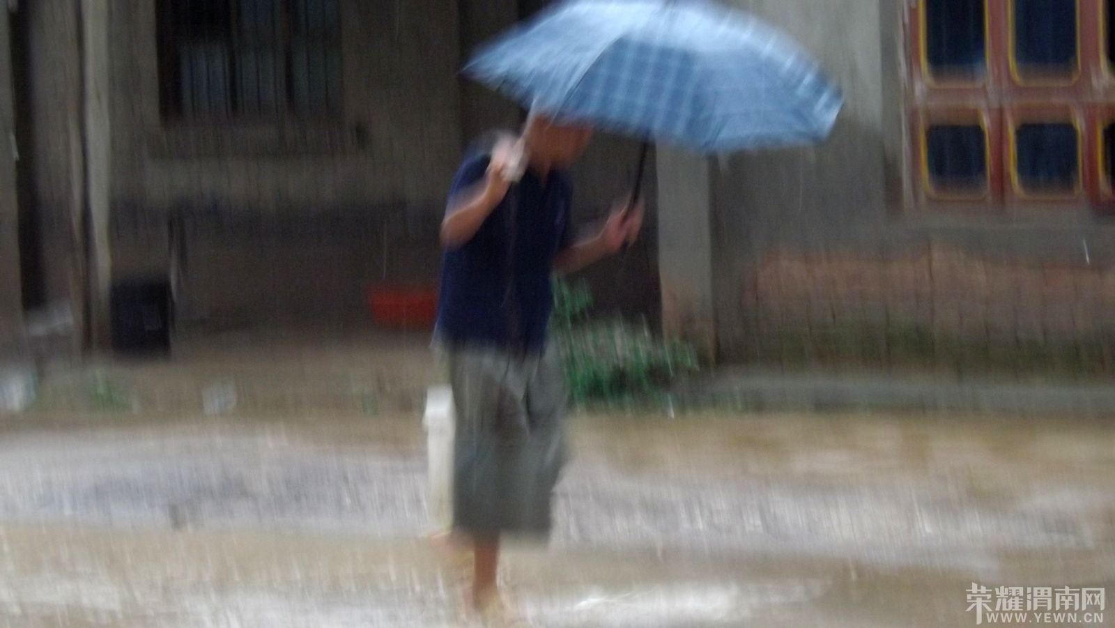 DSCF1433.JPG