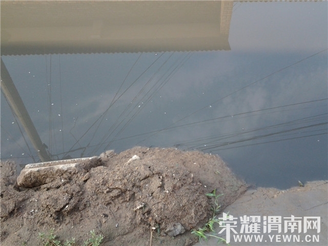 141657jmmg3i4n90mnkmkm.jpg