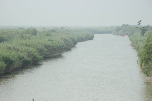 ������С IMG_4181.JPG