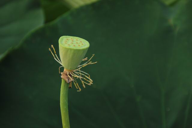 ������С IMG_3964.JPG