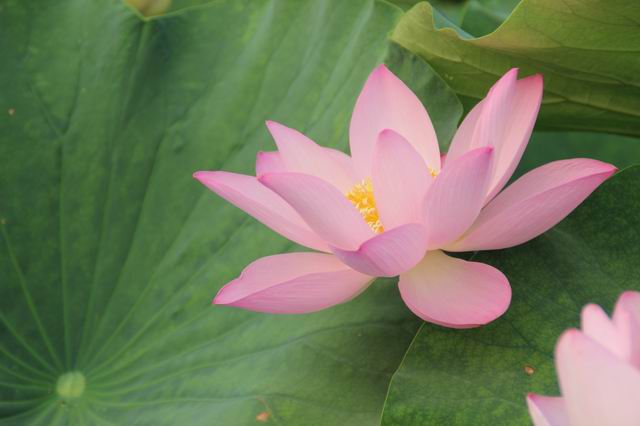 ������С IMG_3977.JPG