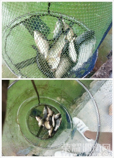 ս��������