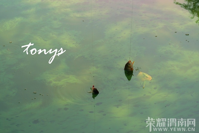 �Ϲ��ˣ�������д