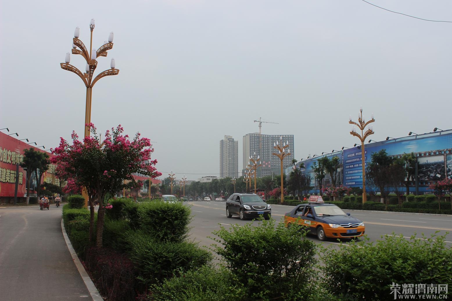 IMG_5889.JPG