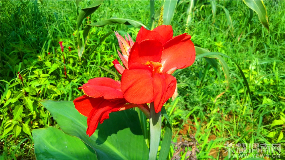 20130730_100235.jpg