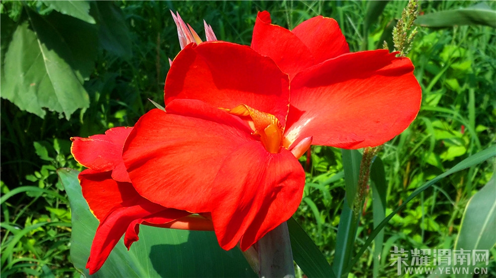 20130730_100249.jpg