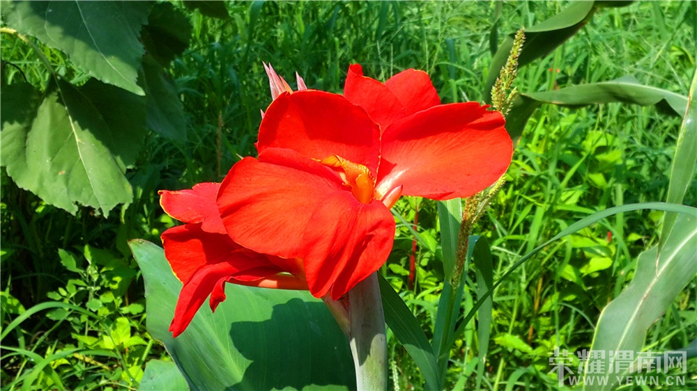 20130730_100252.jpg