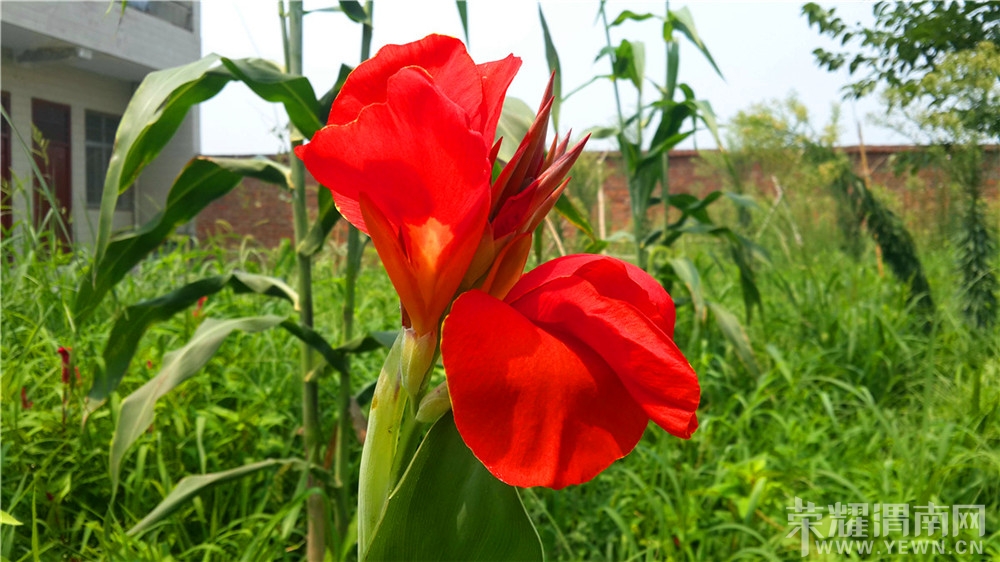 20130731_123120.jpg