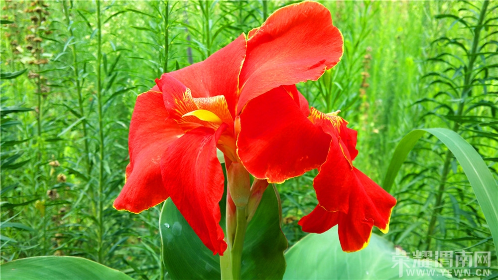 20130802_122010.jpg