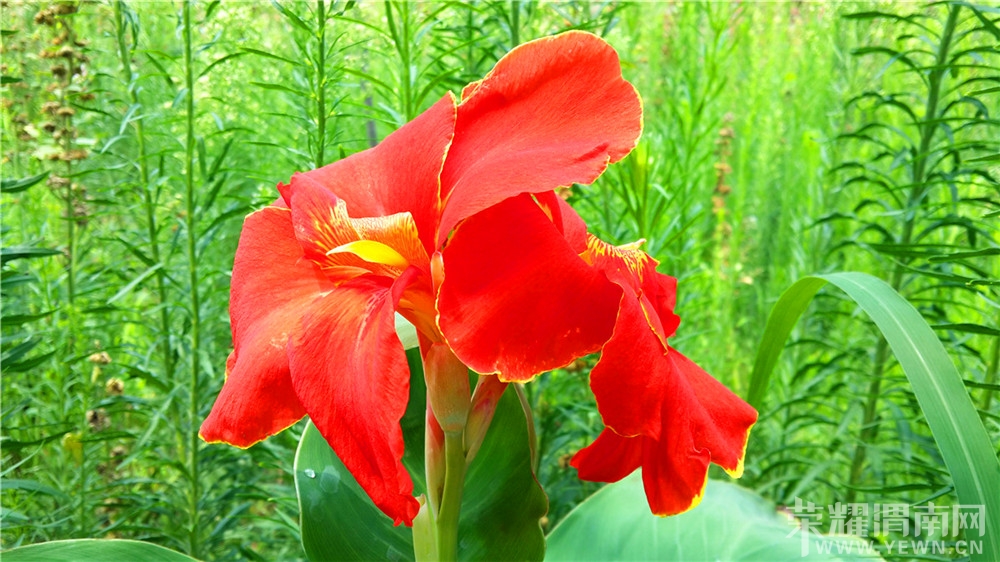 20130802_122052.jpg