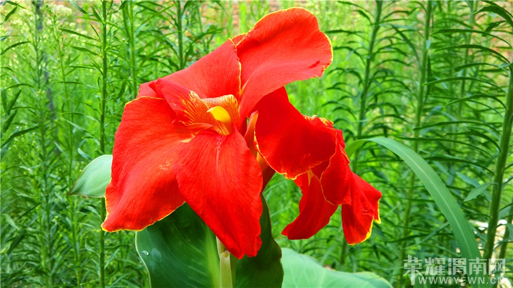 20130802_122103.jpg