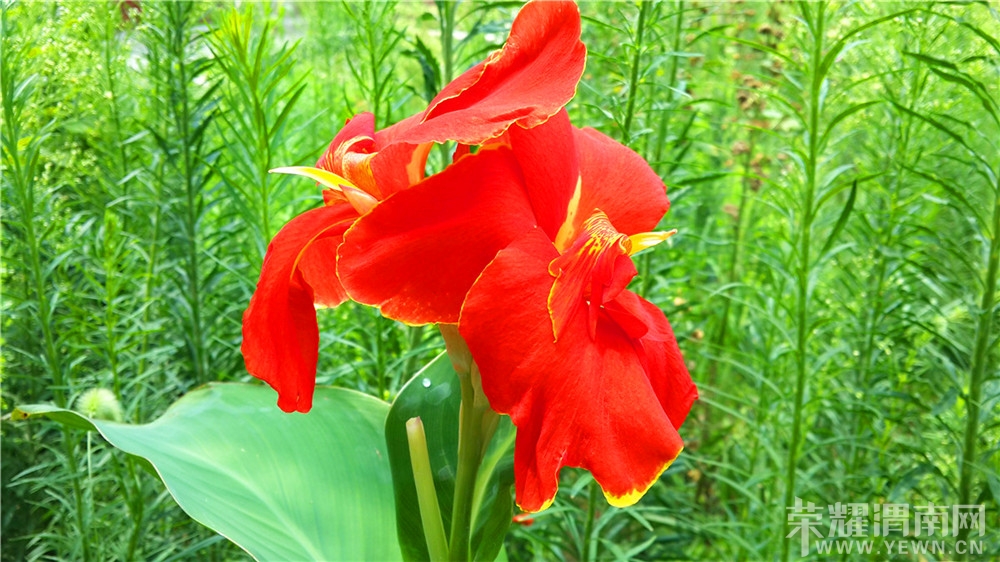 20130802_122120.jpg