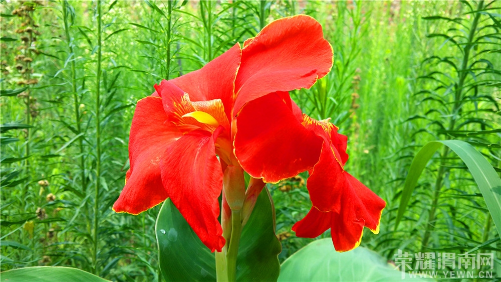 20130802_122154.jpg