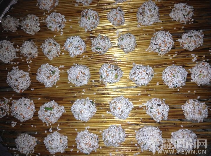 ����Բ��