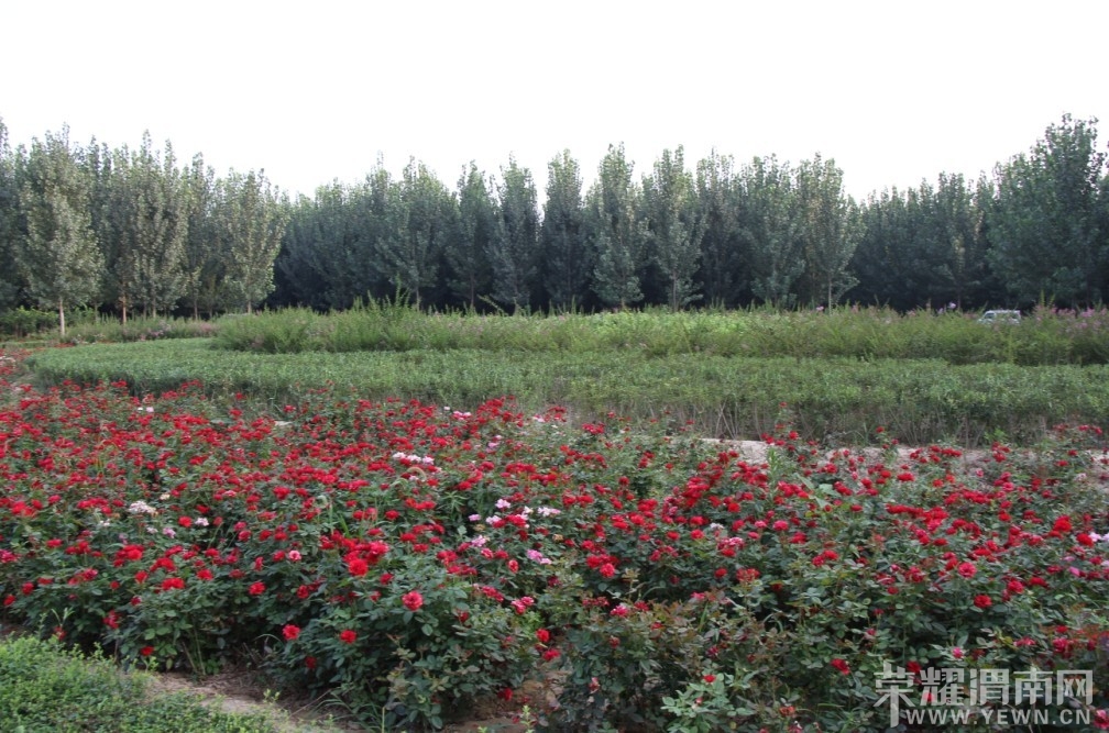 QQͼƬ20130818133750.jpg